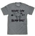 What Day Is It? Hump Day Camel T-Shirt - Gray