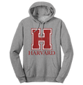 Harvard University H Logo Hooded Sweatshirt - Oxford Gray